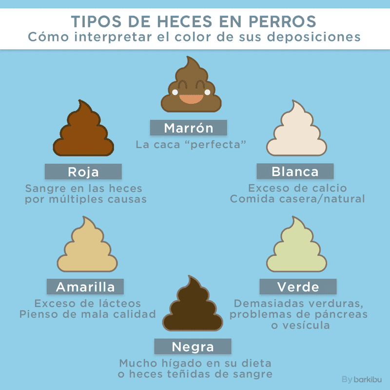 Porque hago caca de color verde